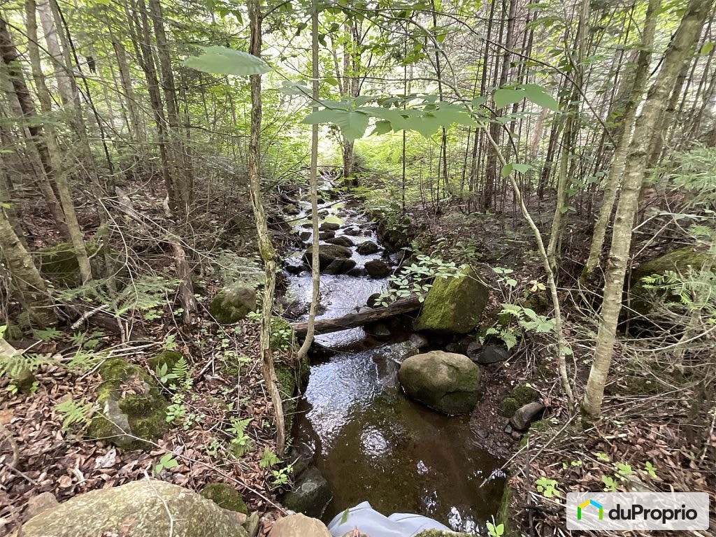 $449,000 - Bungalow in Mont-Blanc (St-Faustin-Lac-Carré) — photo 3