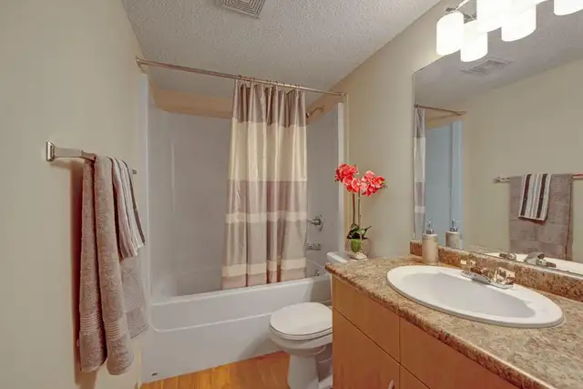 2 Bed x 1 Bath Apartment for Rent on 49th Ave | $1330.00 in Long Term Rentals in St. Albert - Image 7