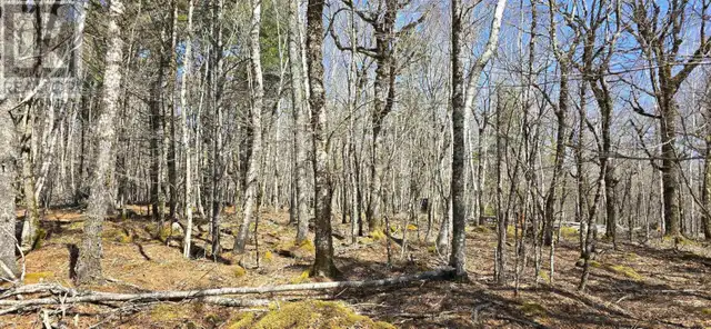 69 Sparkling Spring Lane Labelle, Nova Scotia in Land for Sale in Bridgewater - Image 14