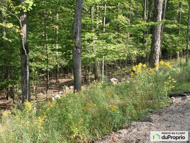 $550,000 - Residential Lot for sale in Mont-Tremblant — photo 3