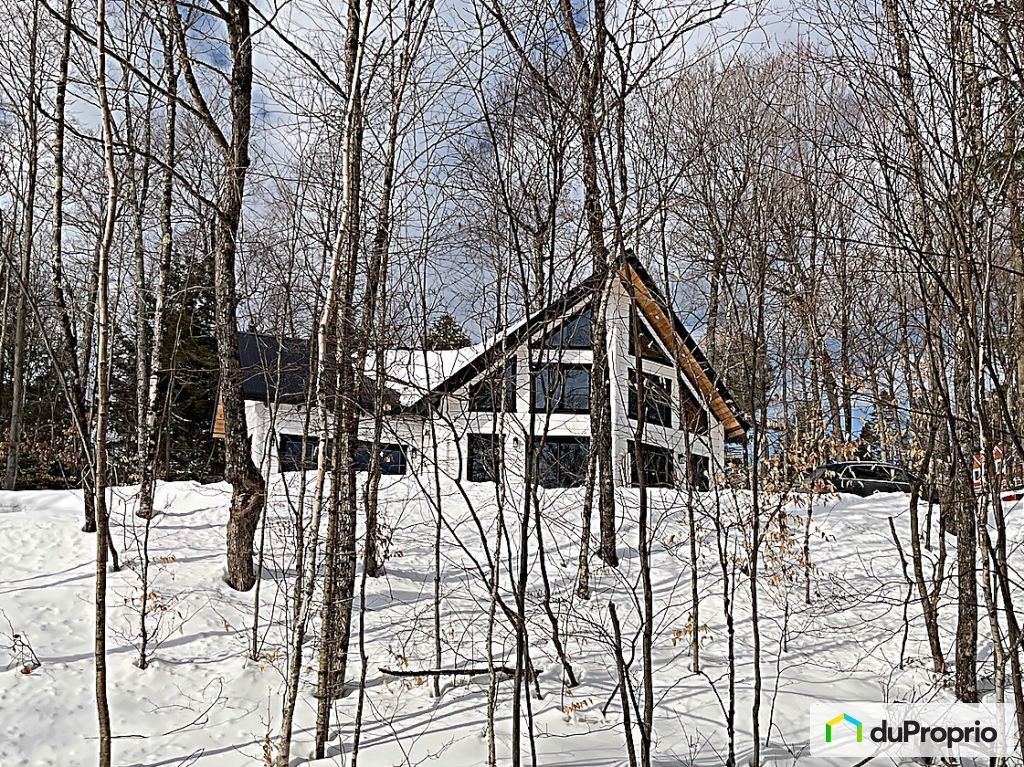 $949,000 - 1 1/2 Storey for sale in St-Gabriel-De-Brandon — photo 3