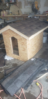 Dog House