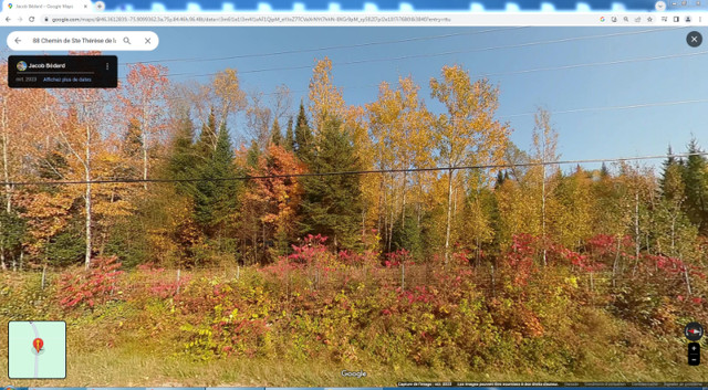 Terre à bois 120 arpents à Déléage en Outaouais dans Terrains à vendre  à Ville de Montréal - Image 2