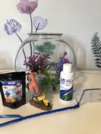 Fish tank /bowl   with everything 