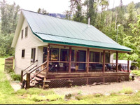 153 WILDWOOD ROAD Nakusp, British Columbia