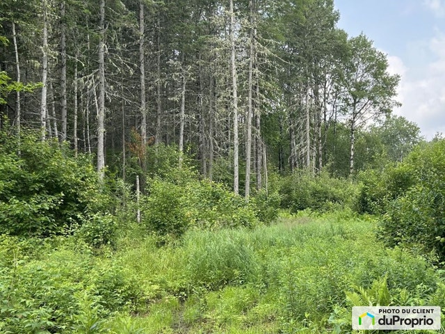 $380,000 - Residential Lot for sale in St-Michel-Des-Saints — photo 1