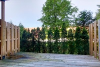 Renovated Akelius studio apartment for rent. Located near Atwater in the Little Burgundy neighborhoo... (image 8)