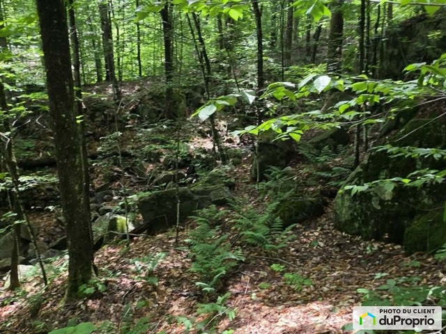 $149,000 - Residential Lot for sale in Brownsburg-Chatham — photo 3