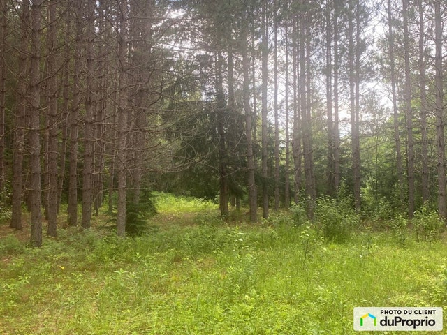 $279,000 - Residential Lot for sale in Mont-Tremblant — photo 2