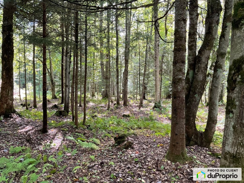 $228,000 - Residential Lot for sale in Eastman — photo 2
