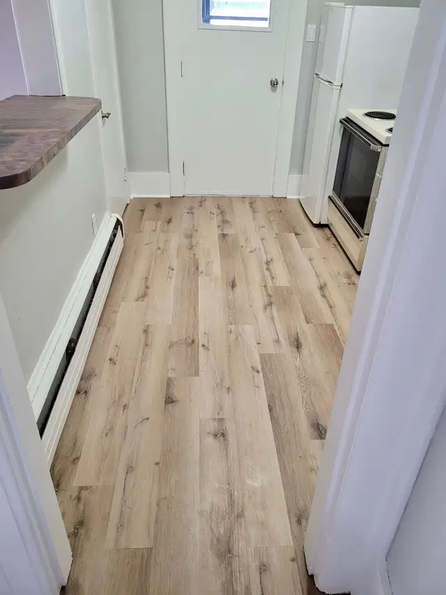 1 Bedroom Apartment in Saint John 136 B Guilford St in Long Term Rentals in Saint John - Image 10
