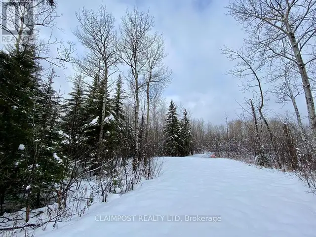 6524 HIGHWAY 11 HIGHWAY N Iroquois Falls, Ontario in Land for Sale in Timmins - Image 2