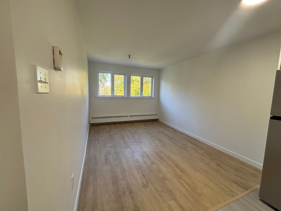 Newly renovated 1 bedroom suite - prime location! 4
