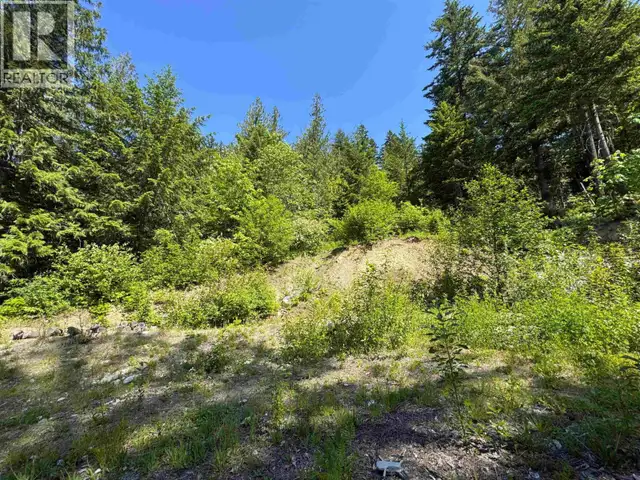 7505 PEBBLE CREEK DRIVE Pemberton, British Columbia in Land for Sale in Whistler - Image 14