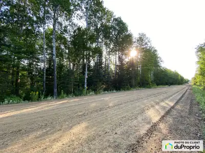 Grand terrain plat boisé situé sur la rue des Goélettes dans le développement le Fief du Massif à Pe...
