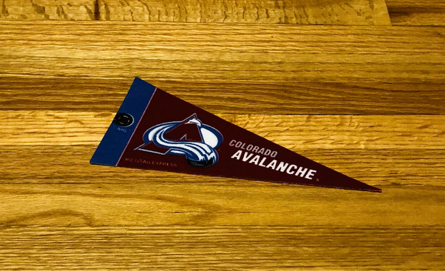 Vintage Avalanche Team Logo Mini Pennant in Arts & Collectibles in Calgary