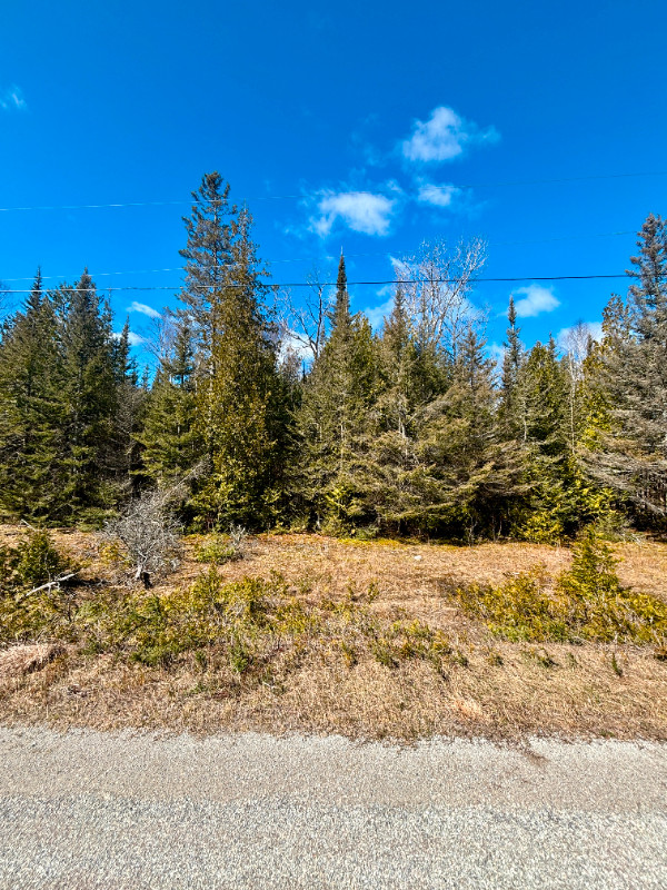 Land for Sale - Lot 12 Lake Huron Dr in Land for Sale in Sudbury - Image 2