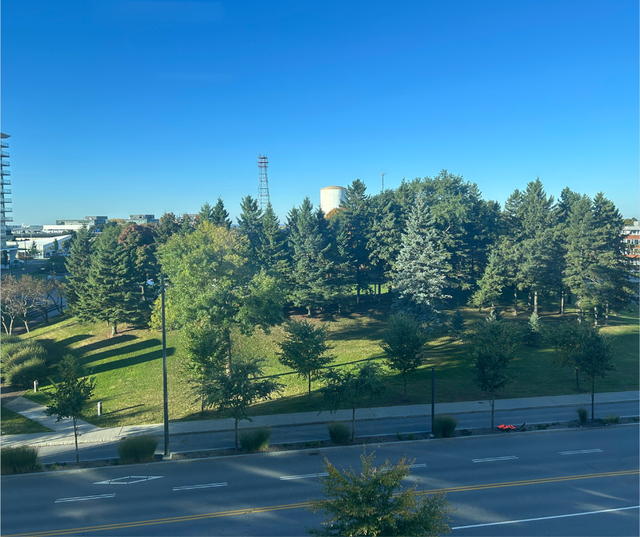 Bureau à louer à Ste-Foy - Disponibilité Immédiate in Commercial & Office Space for Rent in Québec City - Image 4