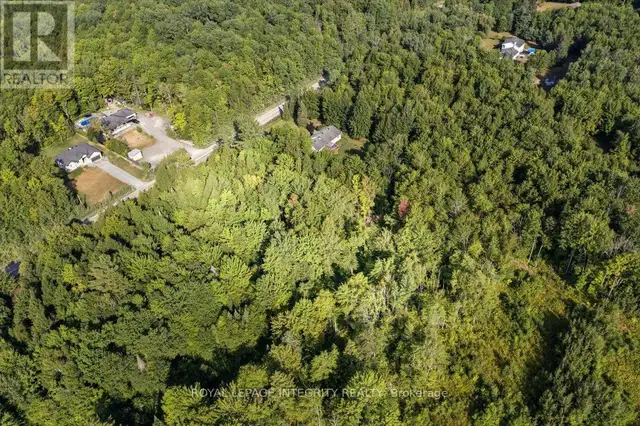 LOT ROLLIN ROAD Clarence-Rockland, Ontario in Land for Sale in Ottawa - Image 15