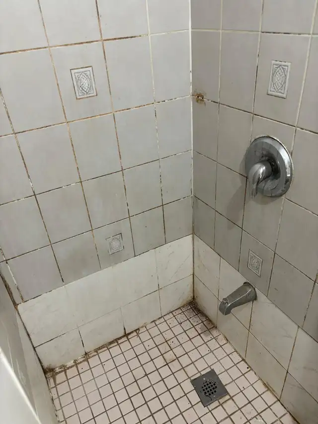 Shower cleaning, silicone replacement