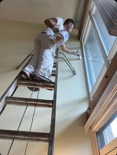 Professional Painter Painters Painting Renovation 647692.0562, View more