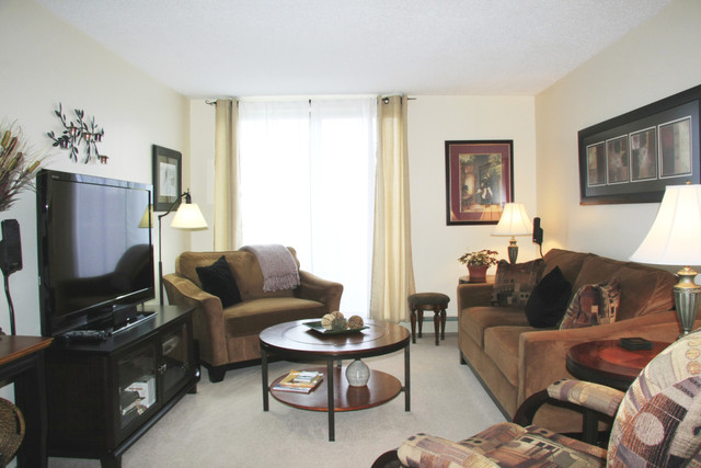 MUST SEE 2 bedroom apartment for rent in Owen Sound! in Long Term Rentals in Owen Sound - Image 2