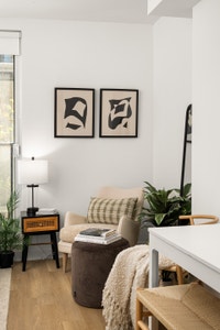 rental apartment for rent-appartement neuf logement locatif-2 1/2-metro Papineau-ville-marie-quartie... (image 6)