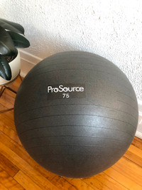 Ballon ergonomique multifonction
