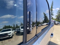 Welcome to Freedom Ford. 3.5 L EcoBoost V6 Engine - 4x4 Drive System - Reverse Park Assist - Satelli... (image 4)
