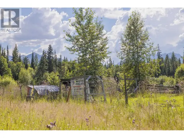 8189 LOOS ROAD McBride, British Columbia in Houses for Sale in Quesnel - Image 4