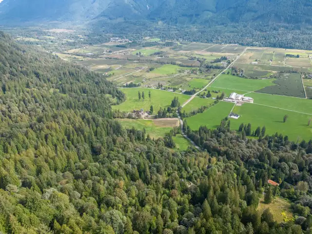 10545 STAVE LAKE ROAD Mission, British Columbia in Land for Sale in Mission - Image 14