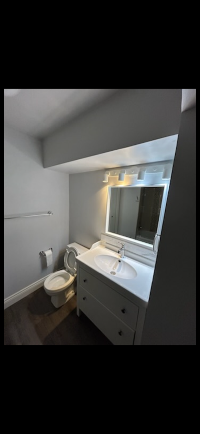 Inner City : bridgeland basement appartment for rent