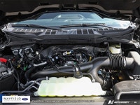 The Humberview Group: 5000 Vehicles. 20 Stores. 18 Brands. 1 Promise: Serving you better each and ev... (image 5)