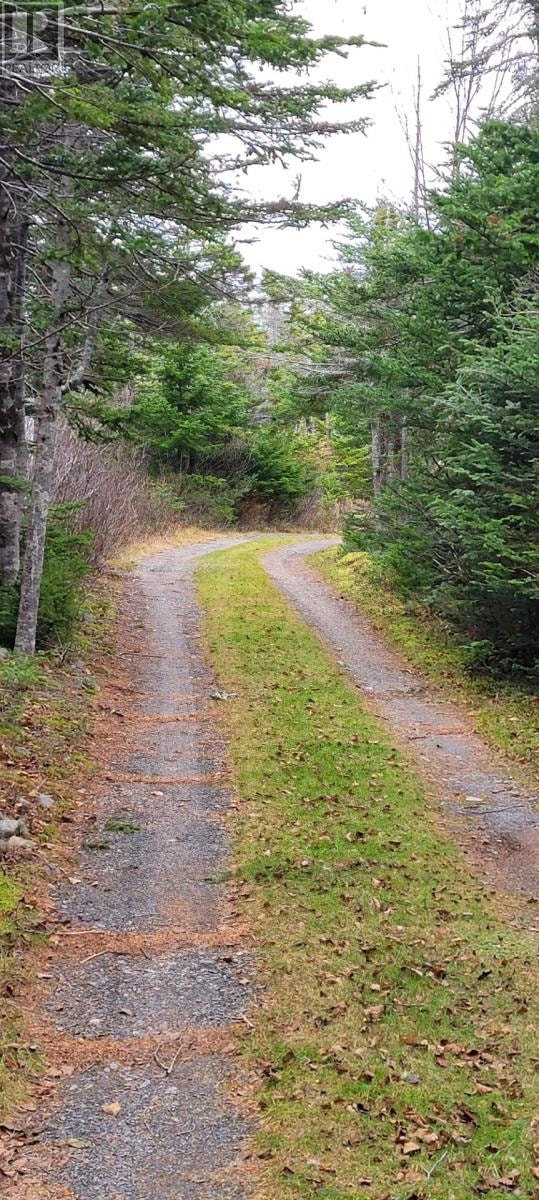 0 Foote Memorial Camp Road Grand Beach, Newfoundland & La