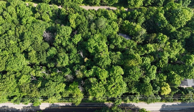 AUBAINE 2 terrains pour le prix d'un LAURENTIDES — photo 2