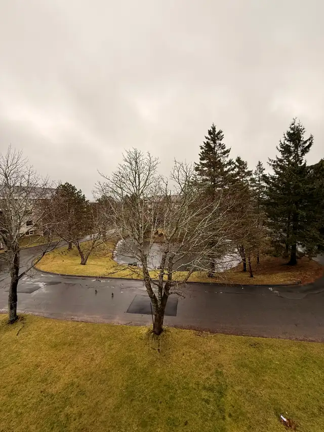 Spacious 2-Level 2BR w/ Private Deck - Heat/Water/PK Incl in Long Term Rentals in City of Halifax - Image 9