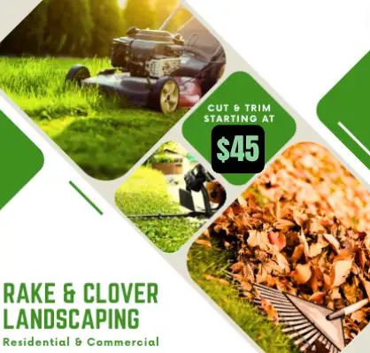 Lawn Care - Starting $40630056632392971216