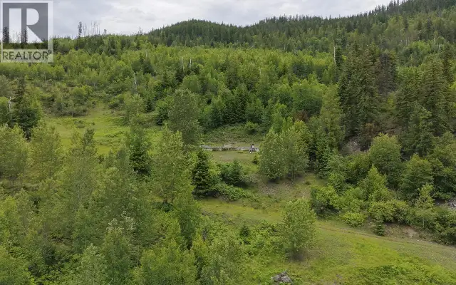 5360 6 Highway Rosebery, British Columbia in Land for Sale in Nelson - Image 13
