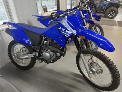 2025 Yamaha TTR230 - Sale Priced! - 223CC 4 Stroke Air Cooled - Eletric Start - 6 Speed Transmission...