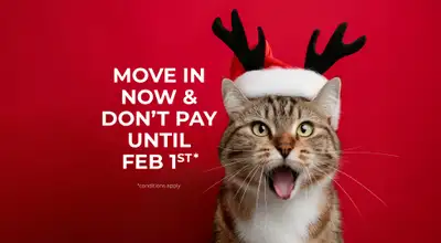 Discover Seasons, a pet-friendly rental community in Winnipeg, MB, designed for comfort, convenience...