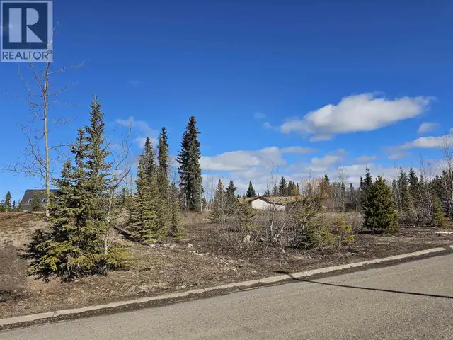 615 CASIMIR AVENUE Burns Lake, British Columbia in Land for Sale in Burns Lake - Image 2