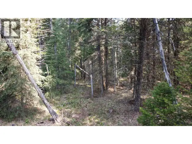 LOT B BRYCE ROAD Forest Grove, British Columbia in Land for Sale in 100 Mile House - Image 16