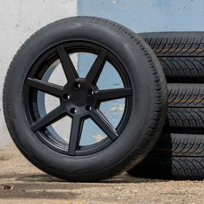 215 225 235 245 255 265 275 285 45 50 55 60 65 70 75 16 17 18 20 22 BRAND NEW RELEASE! Armed ASSASSI...