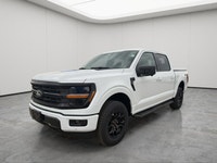 XLT BLACK APPEARANCE PKG, ENGINE BLOCK HEATER, XLT BLACK APPEARANCE PKG, CHROME FRONT & REAR BUMPERS... (image 7)
