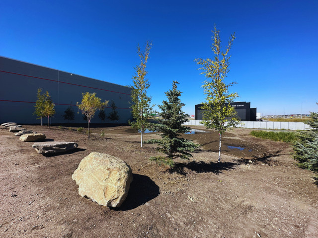COMMERCIAL PROPERTY MAINTENANCE CALGARY BOOK TODAY FREE ESTIMATE in Lawn, Tree Maintenance & Eavestrough in Calgary - Image 4