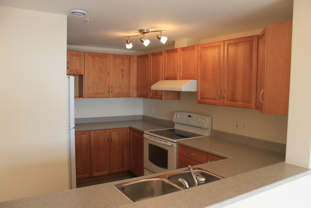 Modern One-Bedroom Plus Den Apartment in the Heart of Dartmouth in Long Term Rentals in Dartmouth - Image 3