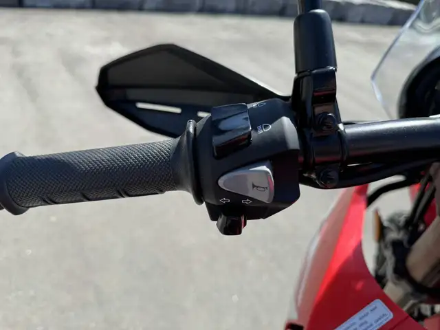 2024 Honda CRF300L Rally ABS in Street, Cruisers & Choppers in Kitchener / Waterloo - Image 15