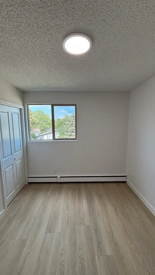 Studio Owl at The Mews – Carlton - First Month Rent Free!63849107837057123
