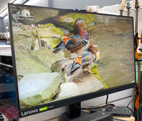 Lenovo G25-10 24" LED Monitor