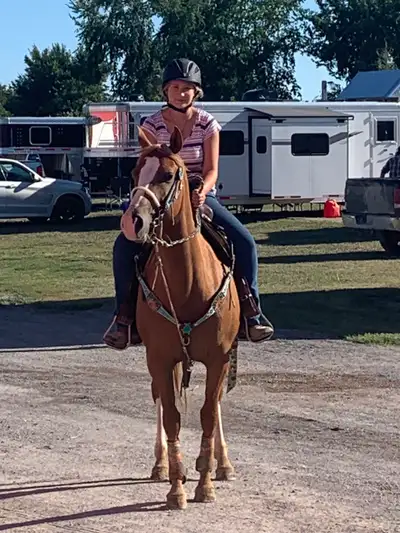 Indoor and outdoor available , View more